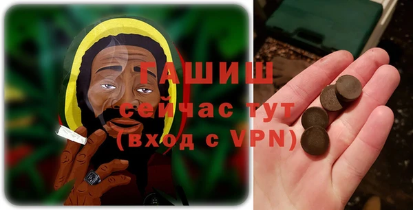 2c-b Горно-Алтайск