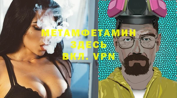 прущие грибы Горняк