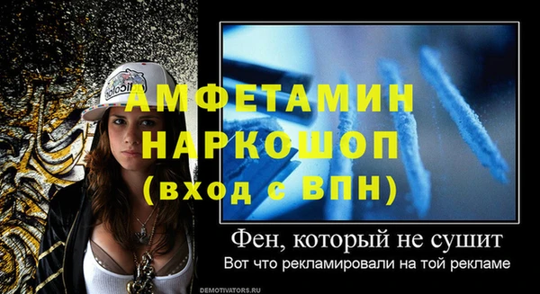 прущие грибы Горняк