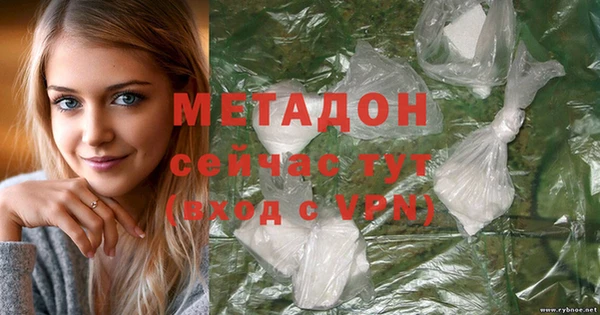 прущие грибы Горняк
