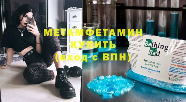 прущие грибы Горняк