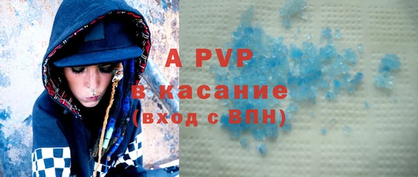прущие грибы Горняк
