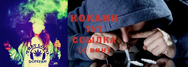 2c-b Горно-Алтайск